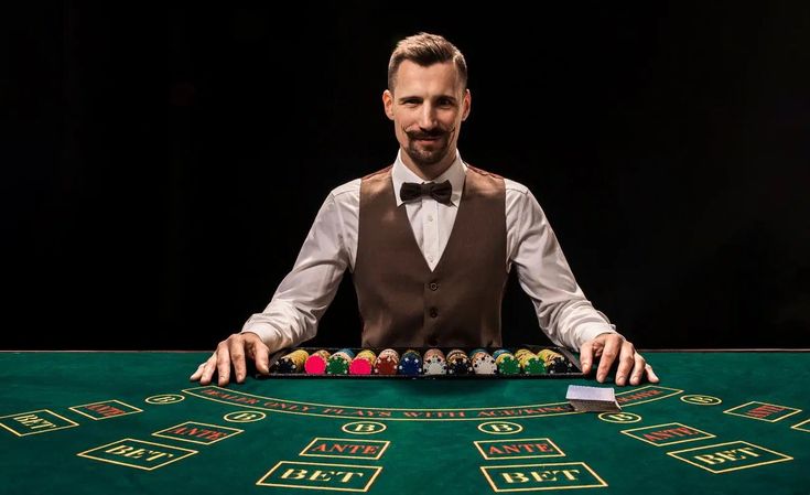 BVGroup Live Betting